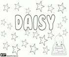 Daisy, zijn oorsprong is de naam in het Engels van een bloem, de madeliefje