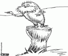 Een vreemd schepsel van het bos, de Lorax