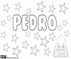 Pedro, naam van Latijnse herkomst. Afgeleide van Petrus, de betekenis ervan is stenen. Pedro, Portugese en de Spaanse naam