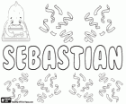 Sebastian, naam van Latijnse herkomst. Afgeleide van Sebastianus. Sebastian, naam in vele talen
