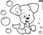 Bubble Puppy, een vis-puppy