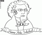 Buste van Franz Peter Schubert. Beroemde Oostenrijkse componist die werd geboren in 1797 en stierf in 1828