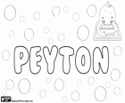 Peyton, naam van Engelse oorsprong. Peyton, variant van Payton