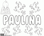 Paulina, naam van Latijnse herkomst. Vrouwelijke vorm van Paulinus