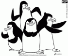 De groep voor penguins klaar voor actie. De pinguïns van Madagascar