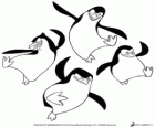 Onze vrienden, de pinguïns van Madagascar dansen en springen