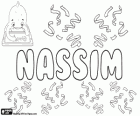 Nassim, naam van Arabische oorsprong. De betekenis ervan is wind. De Arabische naam wordt meestal ook geschreven als Nasim, Nacim, Nassem, Nesim of Nessim in het Latijnse alfabet