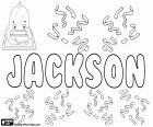 Jackson, naam voor kind van Engelse oorsprong. Komt van de achternaam Jackson, wat betekent dat de zoon van Jack