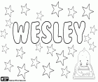 Wesley, naam van Engelse oorsprong, met verschillende oorsprong. Korte vorm van de naam Wesleydale