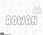 Rowan, Ierse en Engelse naam. Rowan, naam voor jongen die ook wordt gebruikt voor meisje