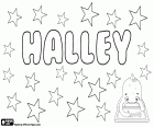 Halley, naam die wordt gebruikt voor zowel meisje en jongen. Halley, naam met verschillende oorsprong. Halley, variant van Hallie en Harriet. Halley is ook een Engelse achternaam