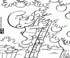 Een Smurf met een ladder tijdens de oogst van appels