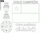 Het nationale team van Chili werd uitgeroepen tot kampioen van de Copa America van 2015. De wedstrijd en de extra tijd eindigde 0-0 op het scorebord. Chili versloeg Argentijnse nationale ploeg in de penalty shootout