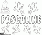 Pascaline, Franse naam voor meisjes. Pascaline, variant van Pascale, vrouwelijke vorm van Pascal. Al deze zijn namen die zijn afgeleid van het Latijnse Paschalis waardoor Pascha, in verband met Pasen