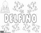 Delfino, een naam afgeleid van de Latijnse naam Delphinus, die afkomstig is van het Griekse woord delphis betekenis dolfijn