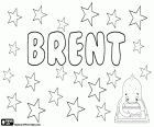 Brent, mannelijke naam van Engelse oorsprong. Brent, ook gebruikt als een verkleinwoord van Brenton. Brent, een Engelse achternaam met verschillende mogelijke oorsprong