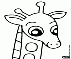 Een jonge giraffe, in haar gezicht weerspiegelt de nieuwsgierigheid om te ontdekken alles, gemeenschappelijke houding van jeugd en jeugdigheid