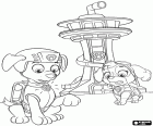 Zuma en Skye zijn buiten het hoofdkwartier van Paw Patrol. De pups ontvangen de waakzaam signaal in hun interactieve kettingen