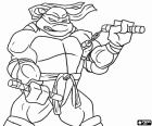 De schildpad ninja Michelangelo met zijn favoriete wapen, twee Nunchaku 's