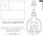 Chili, tweemaal kampioen van de Copa America 2015 en 2016. De nationale ploeg van Chili is de kampioen van de Copa America Centenario 2016, het heeft versloeg Argentinië in de penalty shoot-out, het resultaat van de wedstrijd was 0-0. De Chilenen Alexis Sanchez is de beste speler van het toernooi, Claudio Bravo is de beste keeper en Eduardo Vargas is topscorer