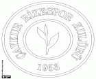 Logo van Çaykur Rizespor Kulübü, Çaykur Rize Spor Kulübü, sportclub van Rize, havenstad in het oosten van de Zwarte-Zeeregio en de hoofdstad van de gelijknamige provincie