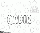 Qadir, mannelijke naam van Arabische oorsprong, variant van namen als Kadir, Kader, Qader en Ghader o.a.