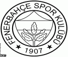 Badge van Fenerbahçe Spor Kulübü, sportclub uit Kadıköy, een district in het Aziatische deel van Istanbul met kust op de zee van Marmara