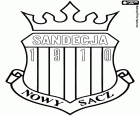 Embleem van Miejski Klub Sportowy Sandecja Nowy Sącz, voetbalclub Nowy Sącz, stad aan de samenvloeiing van de rivieren Kamienica en Dunajec, in het zuiden van Polen in het Woiwodschap Klein-Polen
