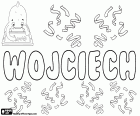 Wojciech, Poolse naam voor jongen met varianten als Wojtek, Wojtuś en Wojcio o.a.