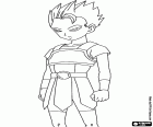 Cabba, een Saiyan is van Universum 6, een nieuwe personage van Dragon Ball Super
