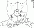 Logo van TS Podbeskidzie, Towarzystwo Sportowe Podbeskidzie Bielsko-Biała, voetbalclub in Bielsko-Biała, stad aan de oevers van de Biała-rivier aan de voet van de Karpaten in het Poolse woiwodschap Silezië, gelegen in het zuiden van Polen, dichtbij de grens met Tsjechië en Slowakije