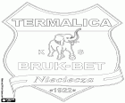 Embleem van Bruk-Bet Termalica Nieciecza Klub Sportowy, voetbalclub uit Nieciecza, dorp in het zuidoosten van Polen in het Woiwodschap Klein-Polen, gelegen ongeveer 60 km ten oosten van Krakau