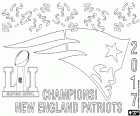 New England Patriots hebben hun vijfde Super Bowl gewonnen. Ook is de vijfde titel voor de hoofd coach Bill Belichick en voor de quarterback Tom Brady, die de MVP-trofee voor de vierde keer heeft. De overwinning van de Patriots epos met een ongelooflijke comeback wil winnen naar Atlanta Falcons in de extra tijd is geweest, is het uiteindelijke resultaat geweest 34-28