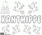 Xanthippe, Griekse naam voor meisje, een andere variant met dezelfde naam is Xanthippi. Xanthippe was de vrouw van Socrates, de beroemde Griekse filosoof