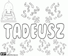 Tadeusz, variant van de Taddeusz, mannelijke bijbelse naam van Aramese oorsprong, Thaddai, naam in Poolse en Franse, variant van de Griekse naam Thaddaios en de gelatiniseerde naam Thaddeus