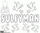 Suleyman, Turkse naam voor jongen, variant van Soleiman, Sulayman, Sulaiman en Suleiman, afgeleid van de naam van Hebreeuwse oorsprong Shelomoh, Solomon, de betekenis ervan is rustig