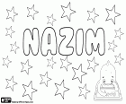 Nazim, variant van Nazem, Nadhem of Nadhim, transcriptie van de Arabische naam voor jongen waardoor dichter