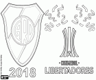 River Plate bereikt de titel van kampioen van de Conmebol Libertadores 2018, na om te winnen een historische en controversiële finale tegen Boca Juniors