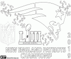 New England Patriots zijn de kampioenen van de Super Bowl 2019. Ze overwonnen in de finale Los Angeles Rams door 13-3. De MVP is Julian Edelman. New England Patriots en de quarterback Tom Brady hebben hun zesde kampioenstitel