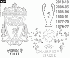 Liverpool, kampioenen van Europa, UEFA Champions League 2018-2019. Liverpool heeft met 2-0 verslagen in de finale tegen Tottenham met doelpunten van Mohamed Salah en Divock Origi. Dit is de zesde titel van kampioen van Europa voor Liverpool. Na de trofeeën in 2004-05, 1983-84, 1980 / 81, 1977 / 78 en 1976 / 77