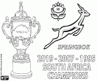 Zuid-Afrika is de nieuwe Rugby wereldkampioen van 2019. De Springboks heeft hun derde wereldtitel gewonnen na de 1995 en 2007 titels
