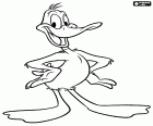 Daffy Duck of is een van de beroemde Looney Tunes personages van Warner Bros