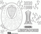 Palmeiras van Sao Paulo heeft de titel van 2020 Copa Libertadores gewonnen door Santos met 1-0 te verslaan met een doelpunt in overwerk. Dit is Palmeiras' tweede continentale kampioenschap na de Copa Libertadores 1999