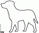 Kleurende tekening met het silhouet van een Labrador hond met de kraag