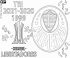 Sociedade Esportiva Palmeiras heeft zijn derde Copa Libertadores kampioenstitel gewonnen. Palmeiras versloeg Flamengo met 2-1 in de finale door doelpunten van Raphael in de 5e minuut en het beslissende doelpunt van Deyverson in de 95e minuut, en in de 72e minuut doelpunt van Gabriel Barbosa voor de ploeg van Carioca.