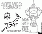 De Springboks uit Zuid-Afrika hebben de wereldtitel behouden door de All Blacks Nieuw-Zeeland met 11-12 te verslaan. Zuid-Afrika is het eerste land dat vier keer de Webb Ellis Cup wint, de trofee voor de winnaar van het wereldkampioenschap rugby. De vier wereldtitels van Zuid-Afrika zijn die in Zuid-Afrika 1995, Frankrijk 2007, Japan 2019 en Frankrijk 2023