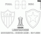 Atlético Mineiro vs. Botafogo, de finale van de Copa Libertadores 2024, Monumentaal stadion van Buenos Aires, Argentinië