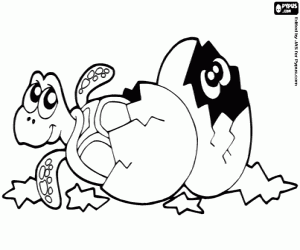 Schildpad eieren kleurplaat