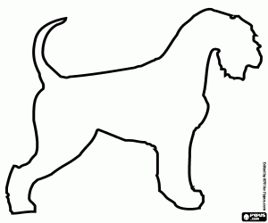 Het silhouet van een hond Schnauzer kleurplaat