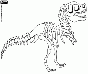 Het skelet van een dinosaurus kleurplaat